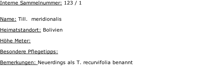 Interne Sammelnummer: 123 / 1   Name: Till.  meridionalis    Heimatstandort: Bolivien    Höhe Meter:   Besondere Pflegetipps:   Bemerkungen: Neuerdings als T. recurvifolia benannt