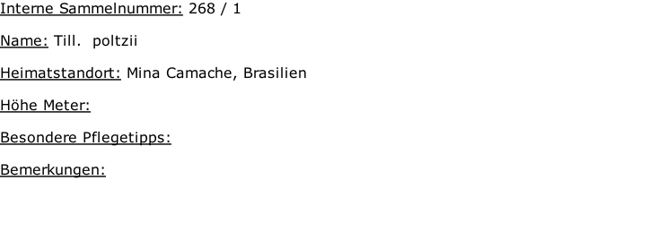 Interne Sammelnummer: 268 / 1  Name: Till.  poltzii    Heimatstandort: Mina Camache, Brasilien    Höhe Meter:   Besondere Pflegetipps:   Bemerkungen: