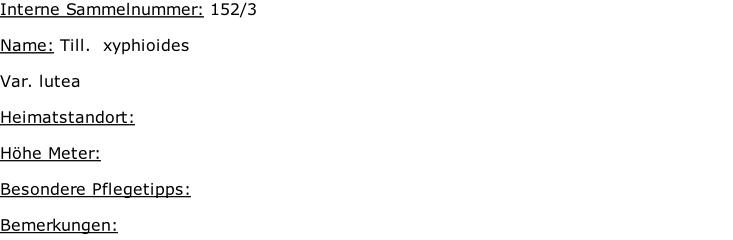 Interne Sammelnummer: 152/3  Name: Till.  xyphioides   Var. lutea  Heimatstandort:     Höhe Meter:   Besondere Pflegetipps:   Bemerkungen: