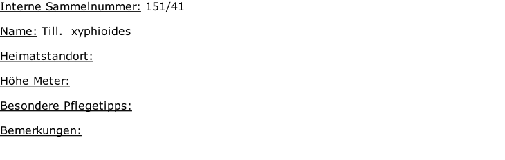 Interne Sammelnummer: 151/41  Name: Till.  xyphioides   Heimatstandort:     Höhe Meter:   Besondere Pflegetipps:   Bemerkungen: