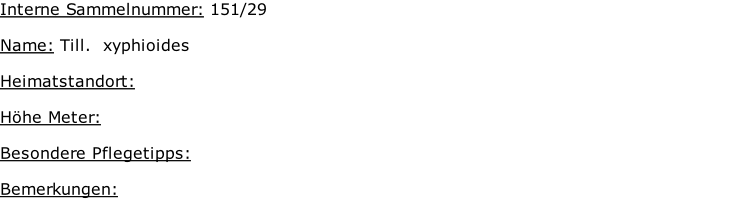 Interne Sammelnummer: 151/29  Name: Till.  xyphioides   Heimatstandort:     Höhe Meter:   Besondere Pflegetipps:   Bemerkungen: