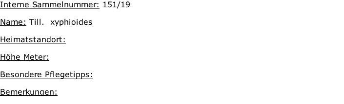 Interne Sammelnummer: 151/19  Name: Till.  xyphioides   Heimatstandort:     Höhe Meter:   Besondere Pflegetipps:   Bemerkungen: