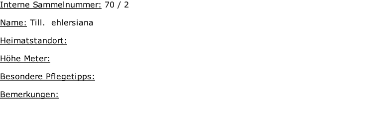 Interne Sammelnummer: 70 / 2  Name: Till.  ehlersiana    Heimatstandort:     Höhe Meter:   Besondere Pflegetipps:   Bemerkungen: