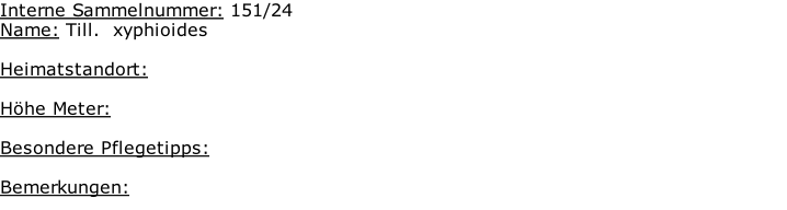 Interne Sammelnummer: 151/24 Name: Till.  xyphioides   Heimatstandort:     Höhe Meter:   Besondere Pflegetipps:   Bemerkungen: