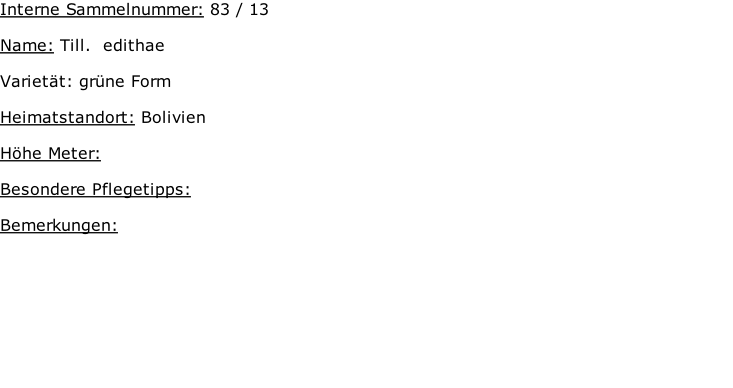 Interne Sammelnummer: 83 / 13  Name: Till.  edithae    Varietät: grüne Form  Heimatstandort: Bolivien   Höhe Meter:   Besondere Pflegetipps:   Bemerkungen: