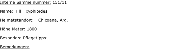 Interne Sammelnummer: 151/11  Name: Till.  xyphioides   Heimatstandort:   Chicoana, Arg.  Höhe Meter: 1800  Besondere Pflegetipps:   Bemerkungen: