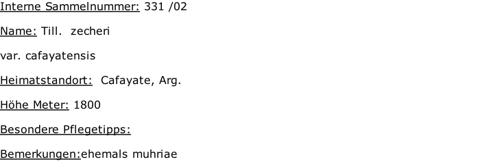 Interne Sammelnummer: 331 /02  Name: Till.  zecheri   var. cafayatensis  Heimatstandort:  Cafayate, Arg.   Höhe Meter: 1800  Besondere Pflegetipps:   Bemerkungen:ehemals muhriae